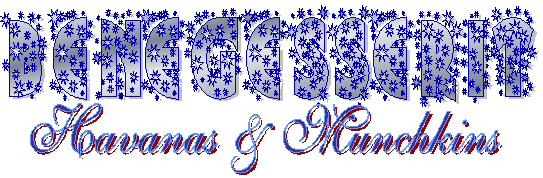 Benegesserit Havanas & Munchkins in text